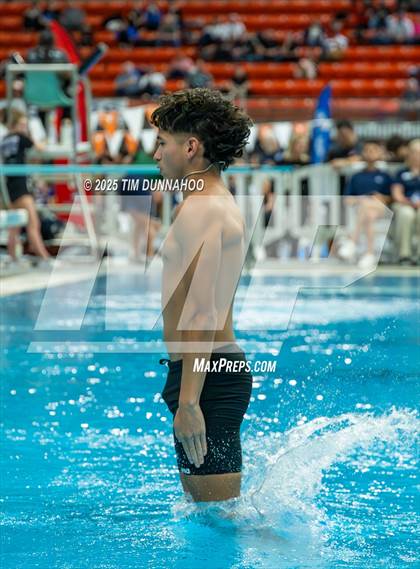 Thumbnail 1 in UIL 5A Swimming & Diving Finals (Diving) photogallery.