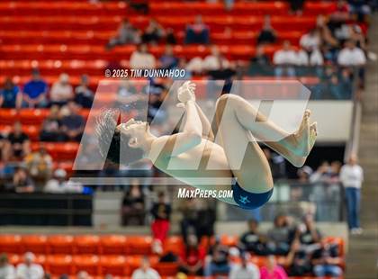 Thumbnail 1 in UIL 5A Swimming & Diving Finals (Diving) photogallery.