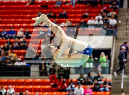 Thumbnail 3 in UIL 5A Swimming & Diving Finals (Diving) photogallery.