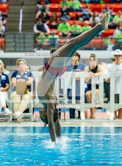 Thumbnail 1 in UIL 5A Swimming & Diving Finals (Diving) photogallery.