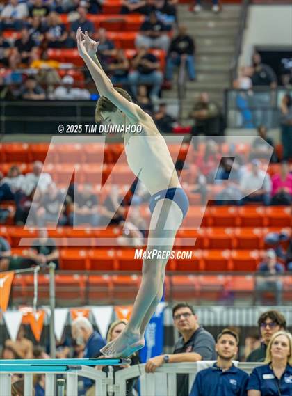 Thumbnail 1 in UIL 5A Swimming & Diving Finals (Diving) photogallery.