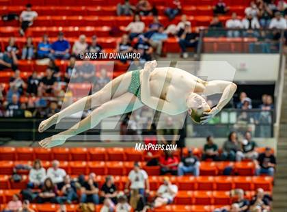 Thumbnail 3 in UIL 5A Swimming & Diving Finals (Diving) photogallery.