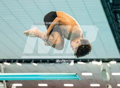 Thumbnail 3 in UIL 5A Swimming & Diving Finals (Diving) photogallery.