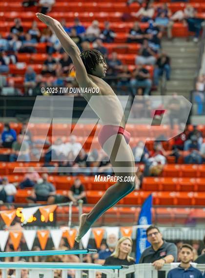 Thumbnail 3 in UIL 5A Swimming & Diving Finals (Diving) photogallery.