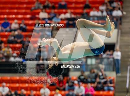 Thumbnail 2 in UIL 5A Swimming & Diving Finals (Diving) photogallery.