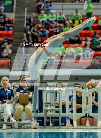 Thumbnail 1 in UIL 5A Swimming & Diving Finals (Diving) photogallery.