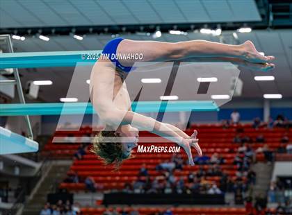 Thumbnail 3 in UIL 5A Swimming & Diving Finals (Diving) photogallery.