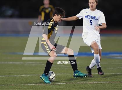 Thumbnail 3 in Hastings vs. Westhill (NYSPHSAA Class B Final) photogallery.