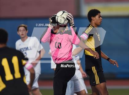 Thumbnail 2 in Hastings vs. Westhill (NYSPHSAA Class B Final) photogallery.