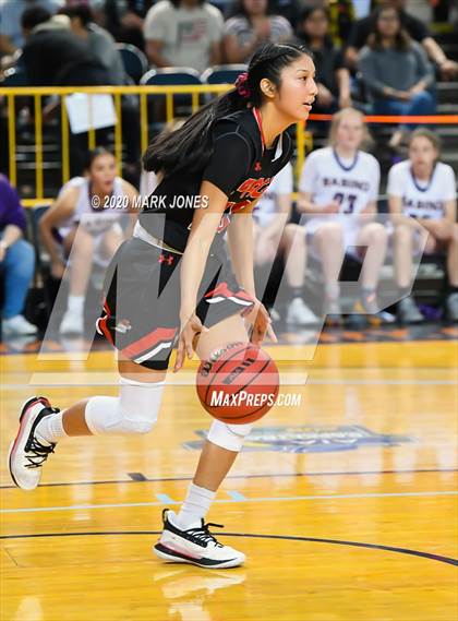 Thumbnail 2 in Page vs. Sabino (AIA 3A Final) photogallery.