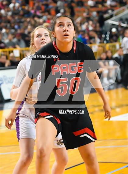 Thumbnail 3 in Page vs. Sabino (AIA 3A Final) photogallery.