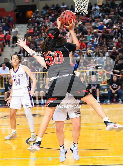 Thumbnail 3 in Page vs. Sabino (AIA 3A Final) photogallery.