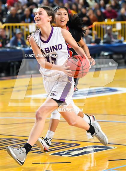 Thumbnail 3 in Page vs. Sabino (AIA 3A Final) photogallery.