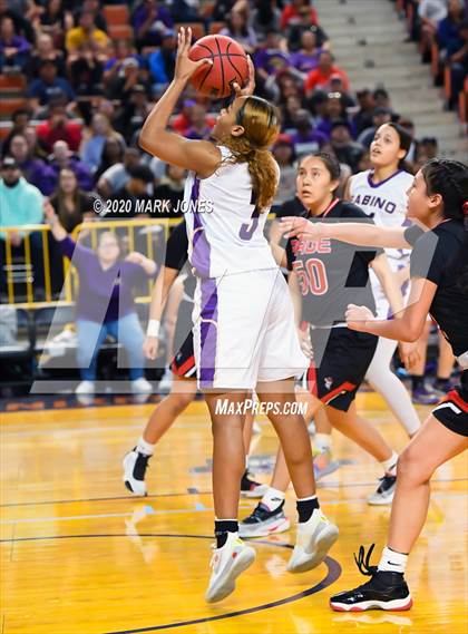 Thumbnail 2 in Page vs. Sabino (AIA 3A Final) photogallery.