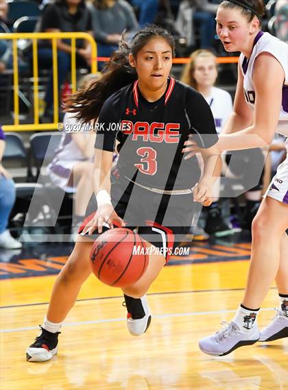 Thumbnail 2 in Page vs. Sabino (AIA 3A Final) photogallery.