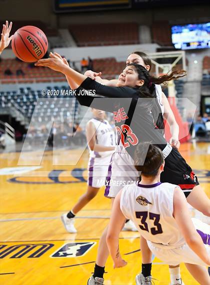 Thumbnail 3 in Page vs. Sabino (AIA 3A Final) photogallery.