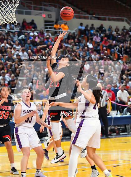Thumbnail 3 in Page vs. Sabino (AIA 3A Final) photogallery.