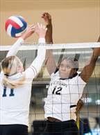 Photo from the gallery "Cactus vs. Verrado (Epic Tourneys Volleyball Invite)"