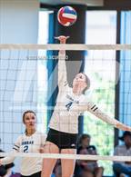 Photo from the gallery "Cactus vs. Verrado (Epic Tourneys Volleyball Invite)"