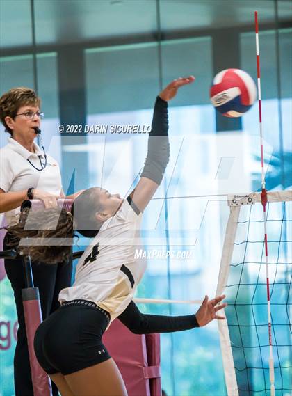 Thumbnail 1 in Cactus vs. Verrado (Epic Tourneys Volleyball Invite) photogallery.