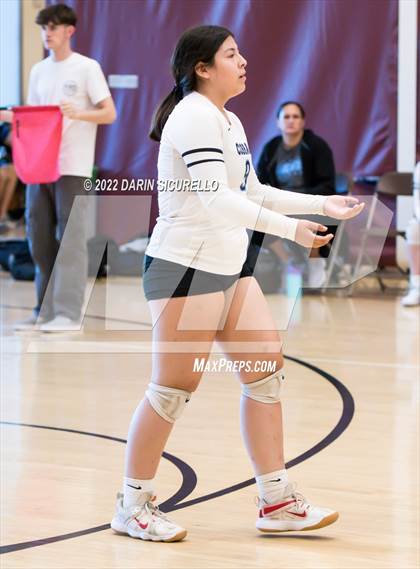 Thumbnail 1 in Cactus vs. Verrado (Epic Tourneys Volleyball Invite) photogallery.