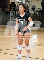 Photo from the gallery "Cactus vs. Verrado (Epic Tourneys Volleyball Invite)"