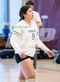 Photo from the gallery "Cactus vs. Verrado (Epic Tourneys Volleyball Invite)"
