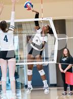 Photo from the gallery "Cactus vs. Verrado (Epic Tourneys Volleyball Invite)"