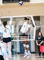 Photo from the gallery "Cactus vs. Verrado (Epic Tourneys Volleyball Invite)"