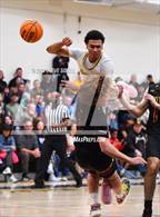 Photo from the gallery "Torrey Pines @ Mission Bay"