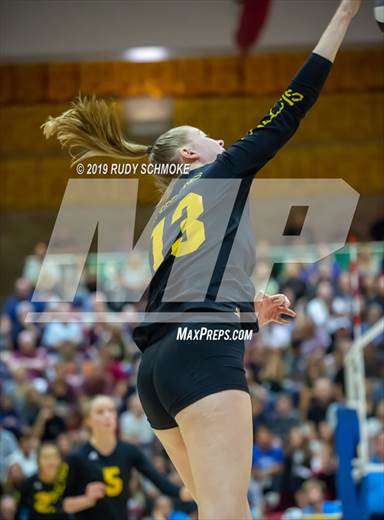 null - Photo 01