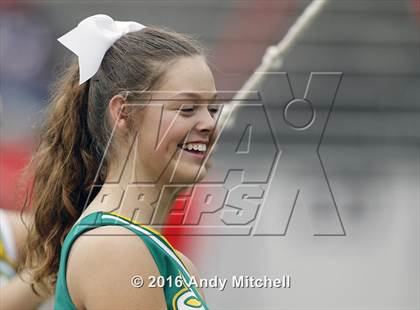 Thumbnail 1 in Rhea County @ Baylor photogallery.