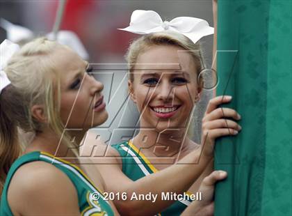 Thumbnail 3 in Rhea County @ Baylor photogallery.