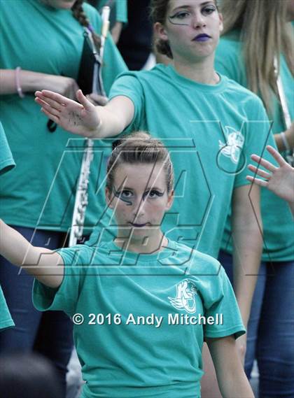 Thumbnail 2 in Rhea County @ Baylor photogallery.