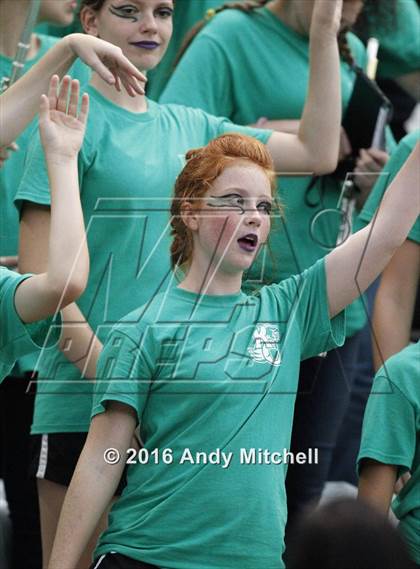 Thumbnail 1 in Rhea County @ Baylor photogallery.