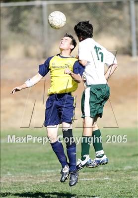 Thumbnail 1 in Rosemont @ Ponderosa photogallery.