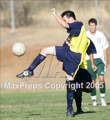 Thumbnail 1 in Rosemont @ Ponderosa photogallery.