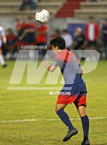 Thumbnail 2 in Palmetto @ Manatee photogallery.