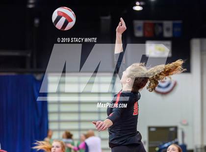 Thumbnail 2 in Cardinal Mooney vs. Marist (Circus City Invitational) photogallery.