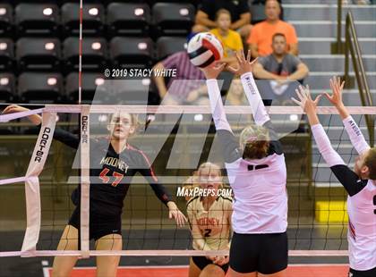 Thumbnail 1 in Cardinal Mooney vs. Marist (Circus City Invitational) photogallery.