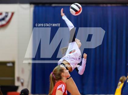 Thumbnail 1 in Cardinal Mooney vs. Marist (Circus City Invitational) photogallery.
