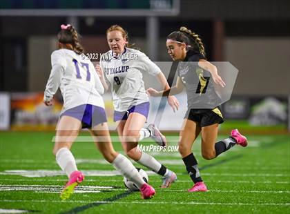 Thumbnail 3 in Puyallup @ Sumner photogallery.