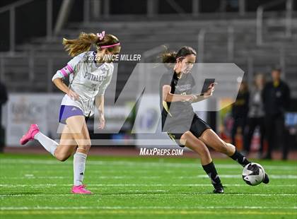 Thumbnail 2 in Puyallup @ Sumner photogallery.