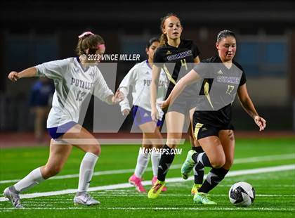 Thumbnail 2 in Puyallup @ Sumner photogallery.