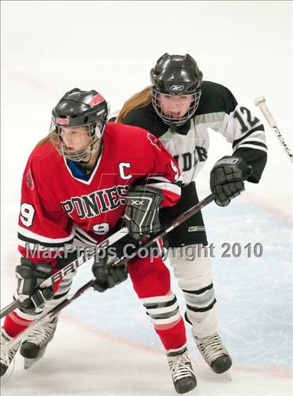 Thumbnail 2 in Stillwater vs Roseville (Section 4AA Semifinal) photogallery.