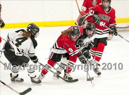 Thumbnail 1 in Stillwater vs Roseville (Section 4AA Semifinal) photogallery.