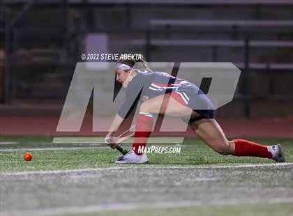 Thumbnail 1 in Kent Denver vs. Regis Jesuit (CHSAA Semifinal) photogallery.