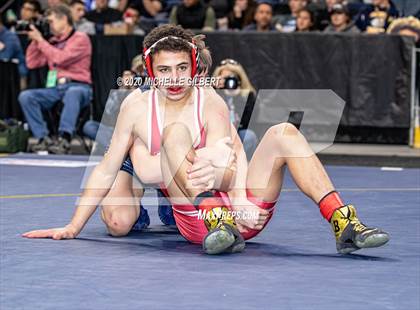 Thumbnail 1 in NYSPHSAA  D2 Wrestling Finals (99lbs to 138lbs) photogallery.