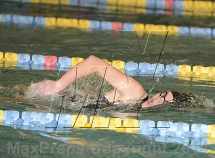 Thumbnail 1 in Ivy League Championships  photogallery.