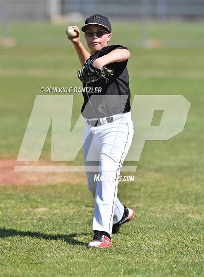 Thumbnail 1 in Cistercian vs Texas Alliance of Christian Athletes (Dallas Lutheran Wood Bat Classic) photogallery.